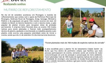 Foto Buriti Mutirão de Reflorestamento em Porangatu