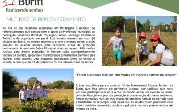 Mutirão de Reflorestamento em Porangatu