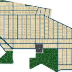 Buriti