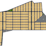 Buriti