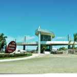 Buriti