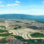 Buriti