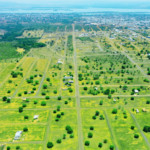 Buriti