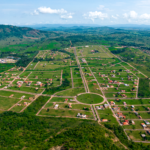 Buriti