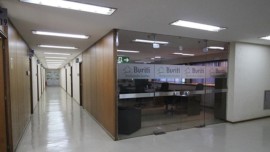 Buriti