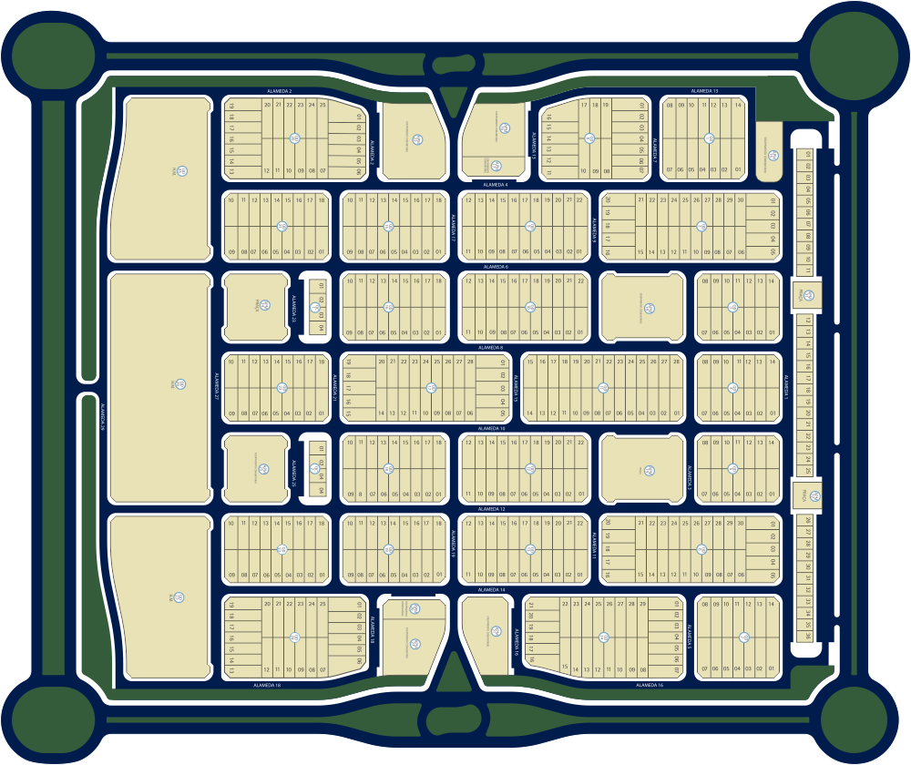 Buriti