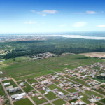 Buriti