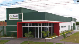 Buriti