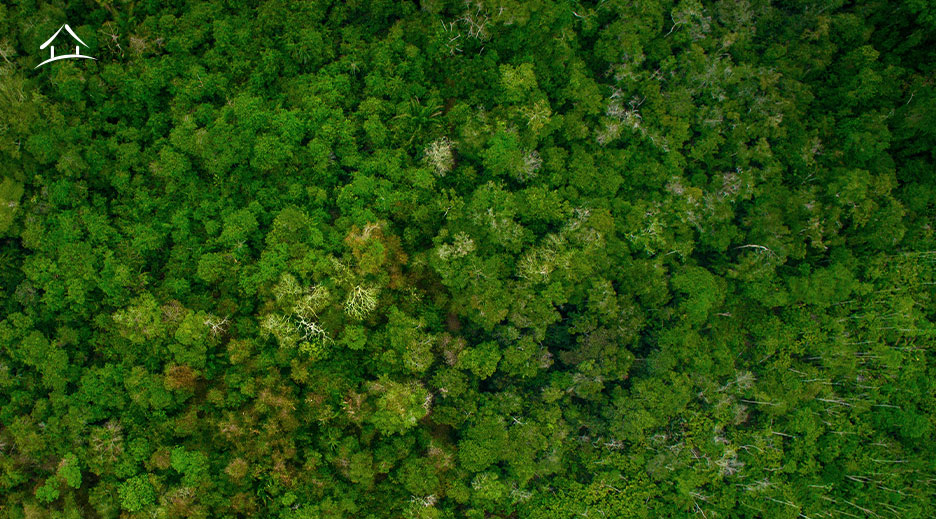 DNA Sustentável: Buriti Empreendimentos convida todos os seus colaboradores a serem agentes de defesa ambiental