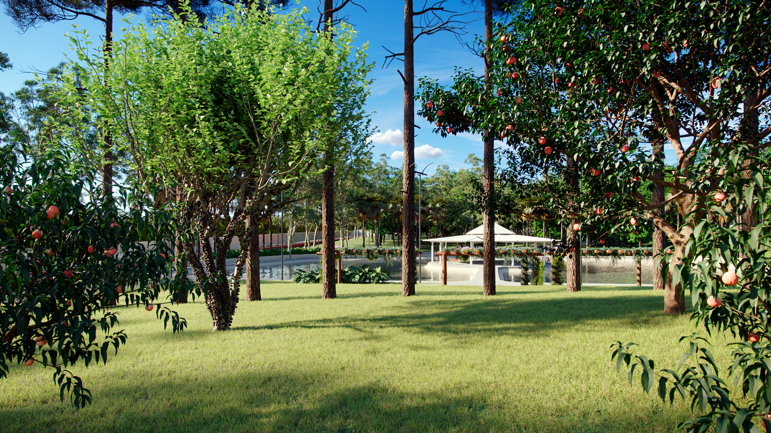 Buriti