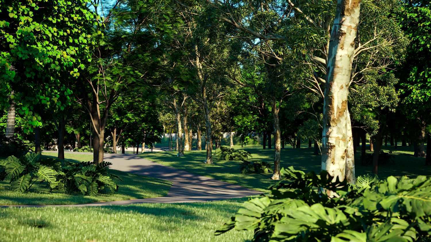 Buriti